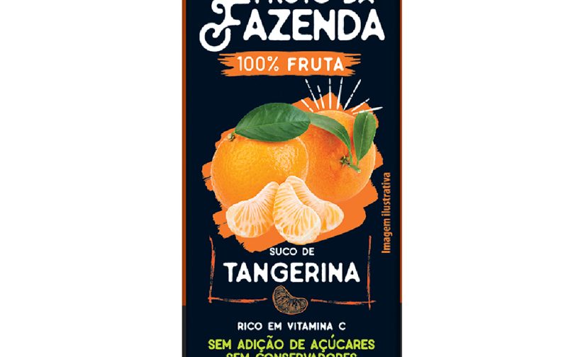Suco De Tangerina 100% Fruta 200ml